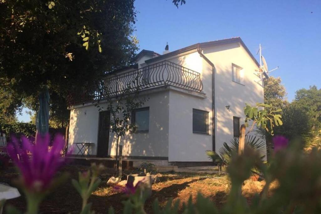 Apartament Viva 2 Rovinj Zewnętrze zdjęcie