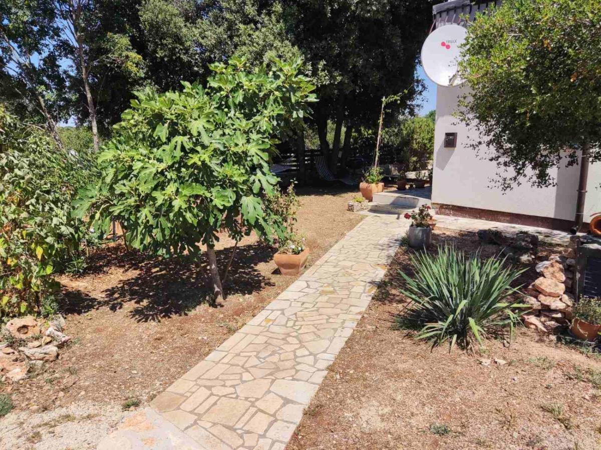 Apartament Viva 2 Rovinj Zewnętrze zdjęcie